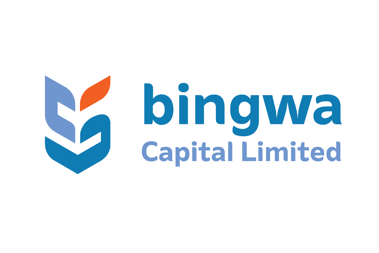 Bingwa logo - fast loan apply